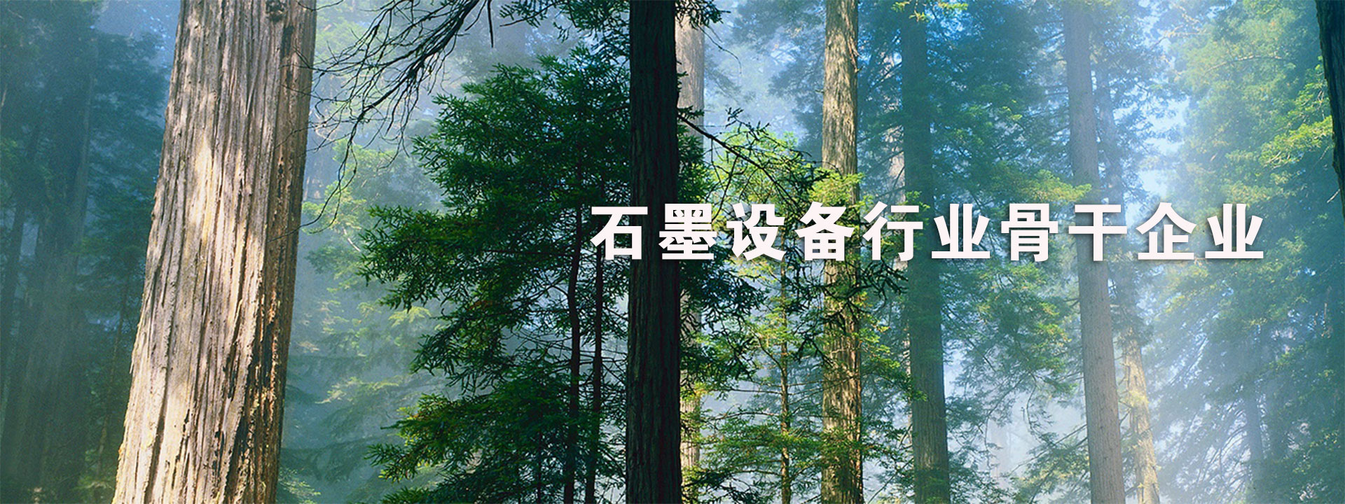 濰坊市巨美防水材料有限公司